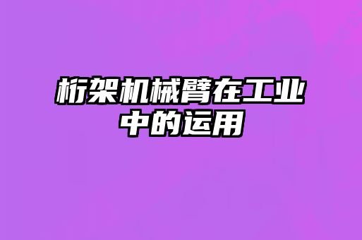 桁架機械臂在工業(yè)中的運用