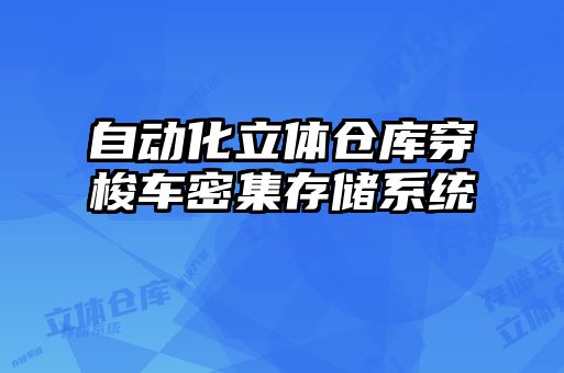 自動化立體倉庫穿梭車密集存儲系統