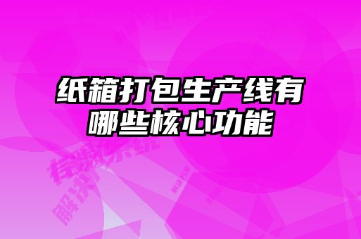 紙箱打包生產線有哪些核心功能