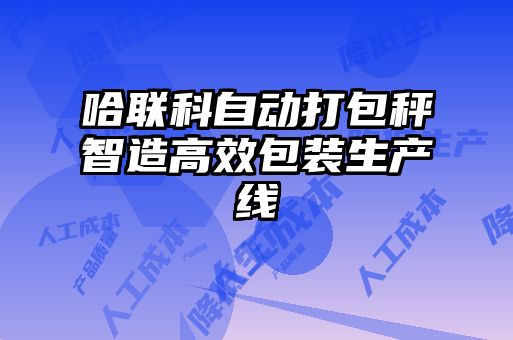 哈聯科自動打包秤智造高效包裝生產線