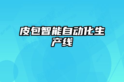 皮包智能自動(dòng)化生產(chǎn)線(xiàn)