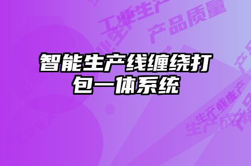 智能生產線纏繞打包一體系統
