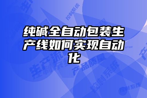 純堿全自動包裝生產線如何實現自動化