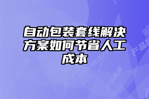 自動包裝套線解決方案如何節省人工成本