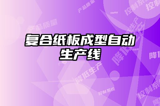 復(fù)合紙板成型自動生產(chǎn)線