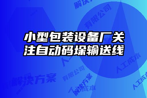 小型包裝設備廠關注自動碼垛輸送線