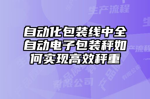 自動化包裝線中全自動電子包裝秤如何實現高效秤重